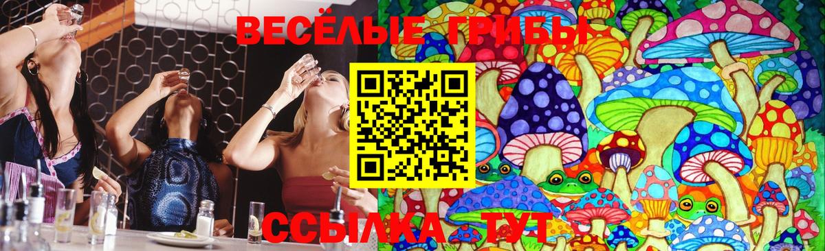 Новозыбков  Псилоцибиновые грибы GOLDEN TEACHER  Галлюциногенные грибы Magic Shrooms  Вход с VPN 