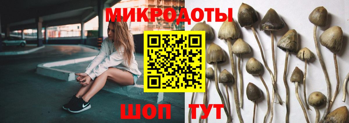Галлюциногенные грибы прущие грибы Новозыбков